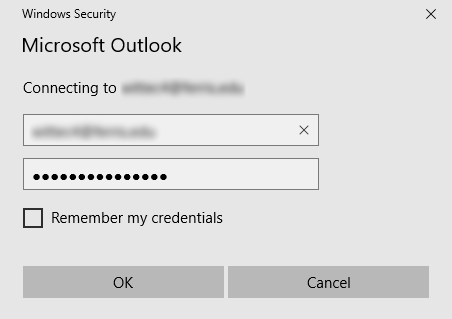 Screenshot of Windows security login credentials dialog box