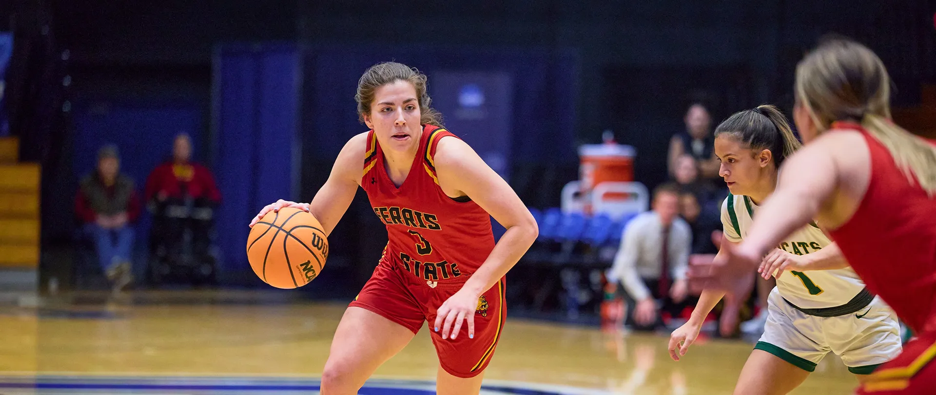 Ferris State women's basketball player