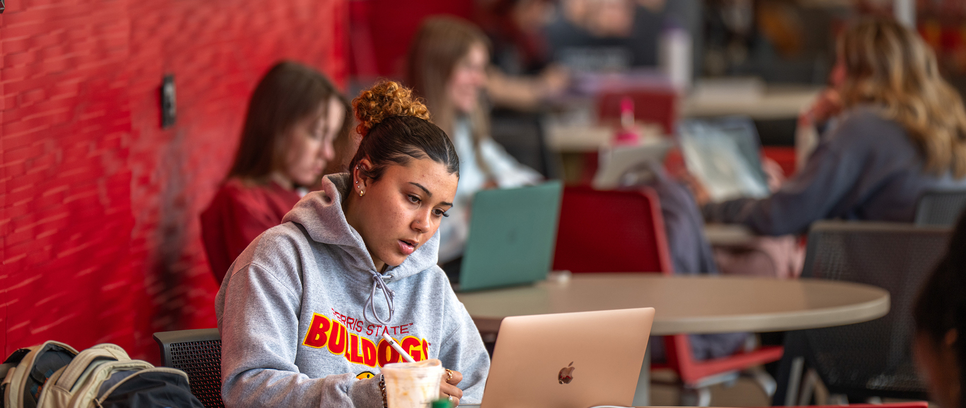 Ferris State website ranked among nation's best