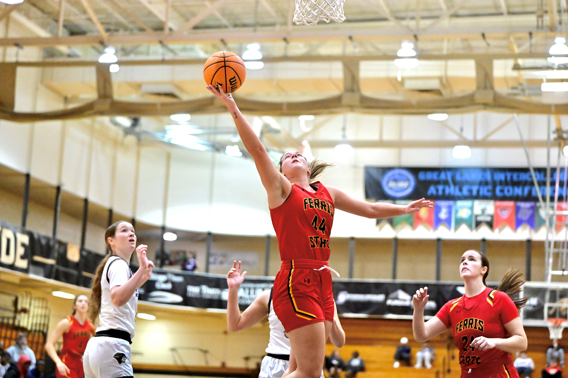 Both Ferris State basketball teams included in newly-released regional rankings